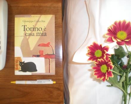Torino is my home - Book hotel in Torino!