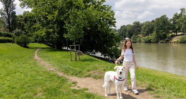The Valentino Park, 300 metres from the hotel, is ideal for walks with your dog.